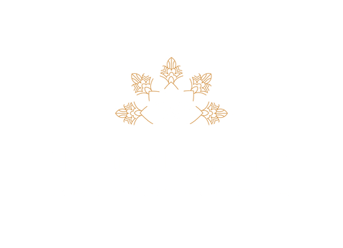 651d9f677965f09b94b99f36 IDOLEM logo2023 p 500 1